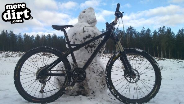Follow the Dog Trail - Cannock Chase