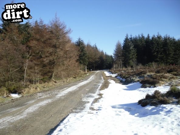 Blue Trail - Coed Llandegla Forest