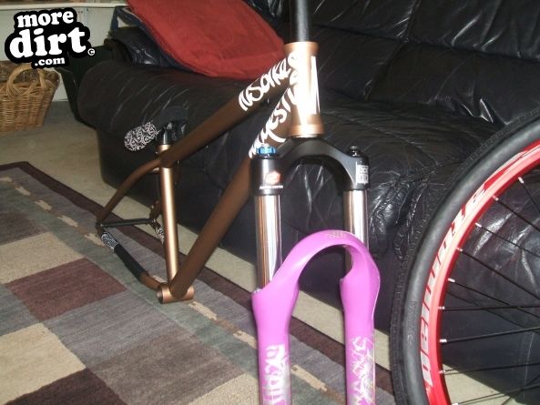 Ns majesty gold tint frame with my 2010 argyle 409