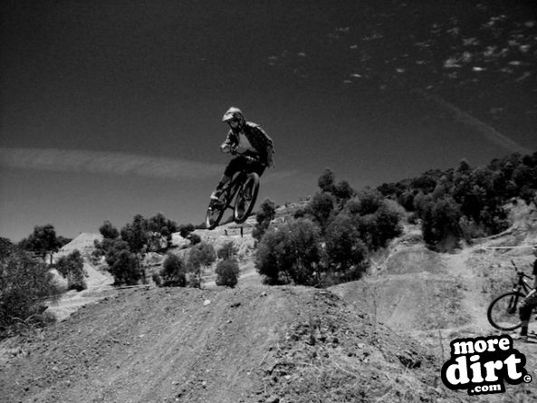 Really love how it turned up... The rider looks ve