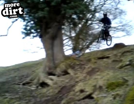 me hitting the step down with only a front brake h