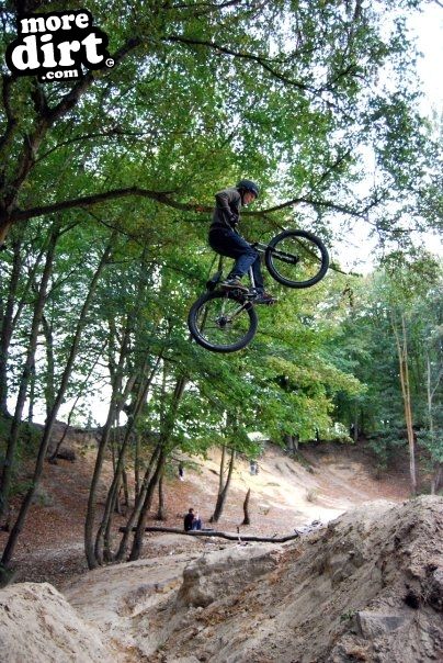 Buckland Rings Trail