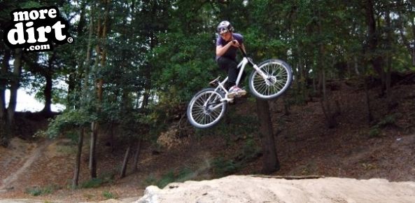 Buckland Rings Trail