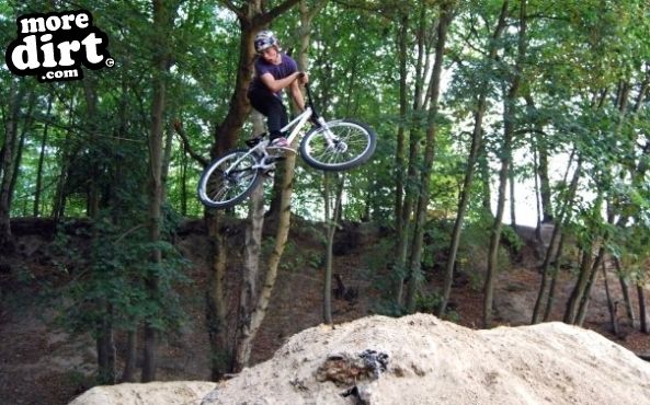 Buckland Rings Trail