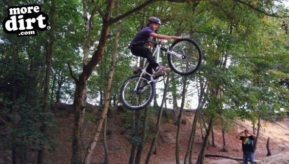 Buckland Rings Trail