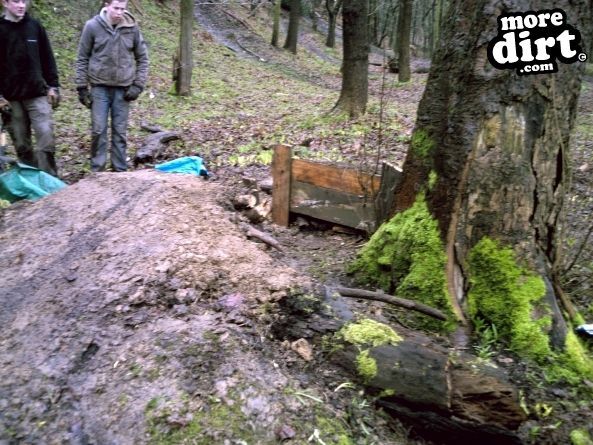 Elland Park Wood Mountain Bike Trails