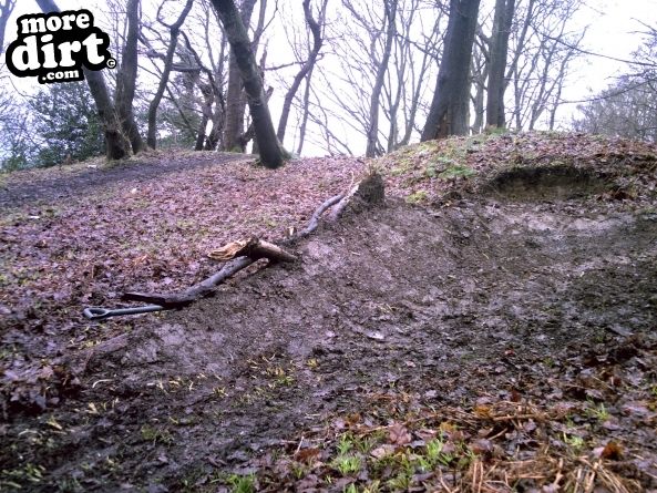 Elland Park Wood Mountain Bike Trails