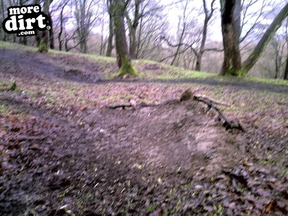 Elland Park Wood Mountain Bike Trails