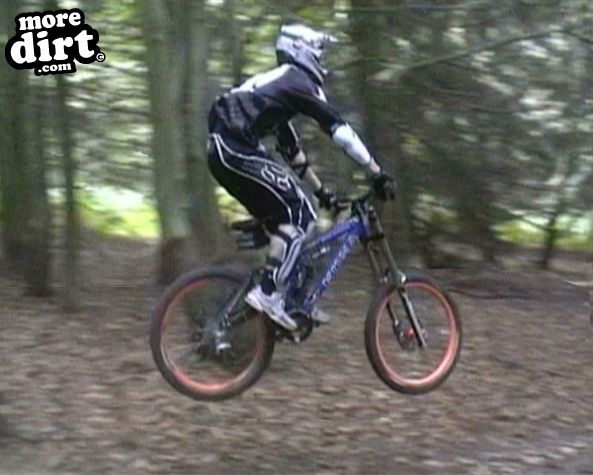 Wharncliffe Woods - DH Trails