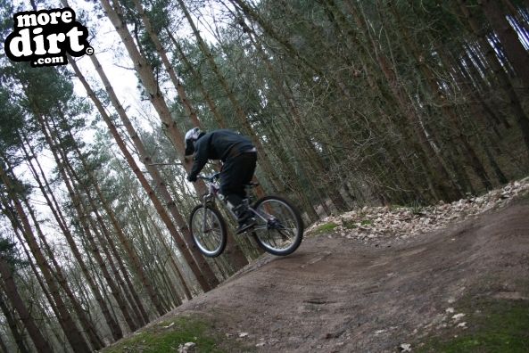 Chicksands Bike Park