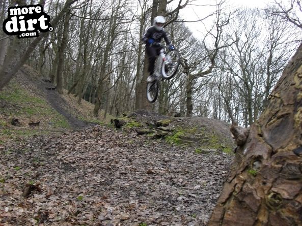 Elland Park Wood Trails