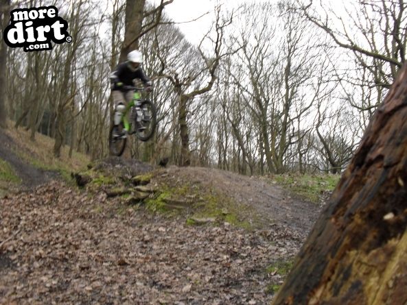 Elland Park Wood Trails