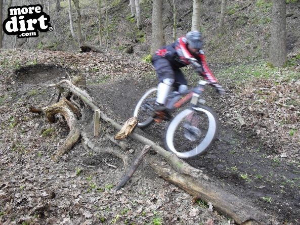 Elland Park Wood Trails