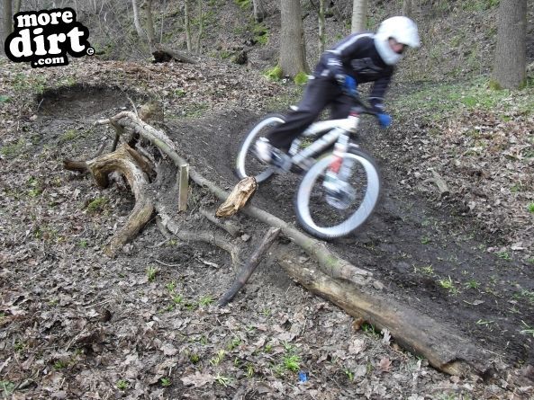 Elland Park Wood Trails