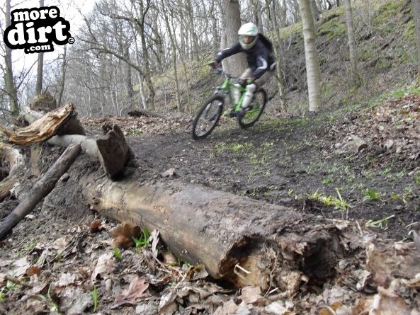 Elland Park Wood Trails