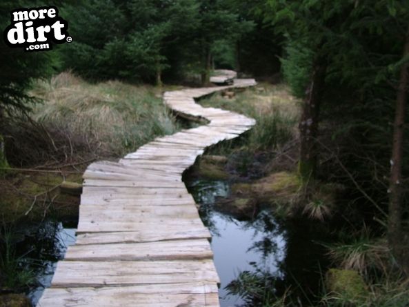 Gisburn Forest Mountain Bike Trails