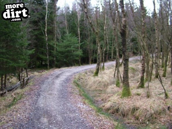 Gisburn Forest Mountain Bike Trails