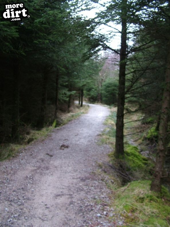 Gisburn Forest Mountain Bike Trails