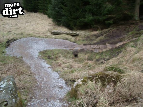 Gisburn Forest Mountain Bike Trails
