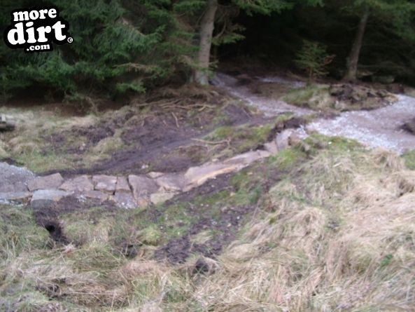 Gisburn Forest Mountain Bike Trails