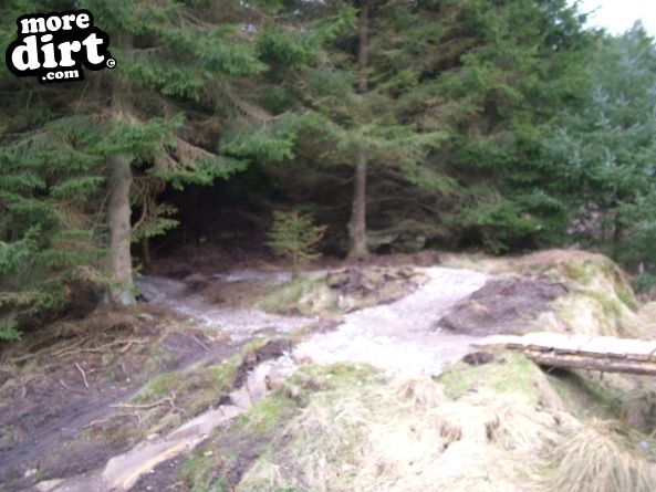 Gisburn Forest Mountain Bike Trails