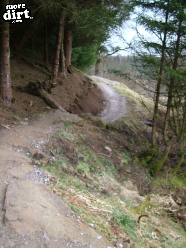 Gisburn Forest Mountain Bike Trails