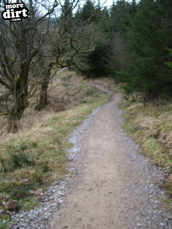 Gisburn Forest Mountain Bike Trails