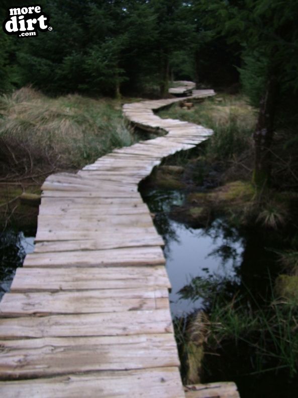 Gisburn Forest Mountain Bike Trails