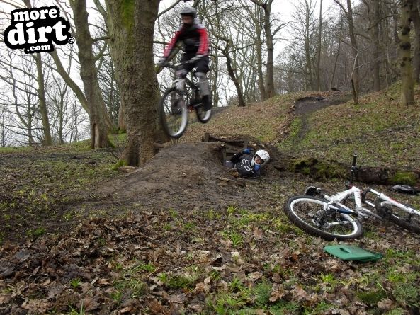 Elland Park Wood Trails