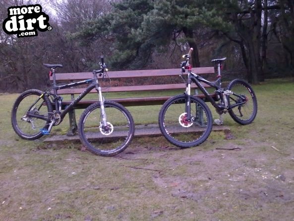Mousehold Trails