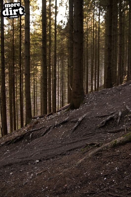 Aston Hill Mountain Bike Park