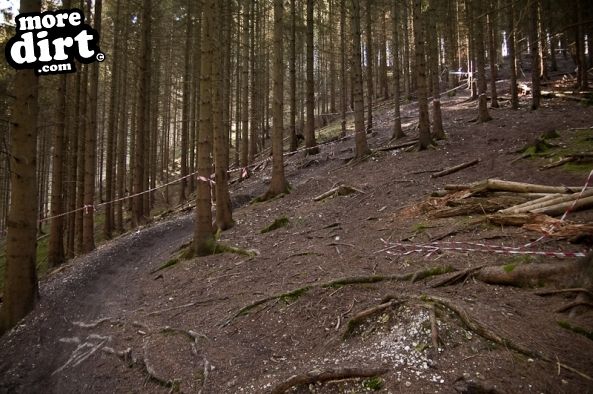 Aston Hill Mountain Bike Park