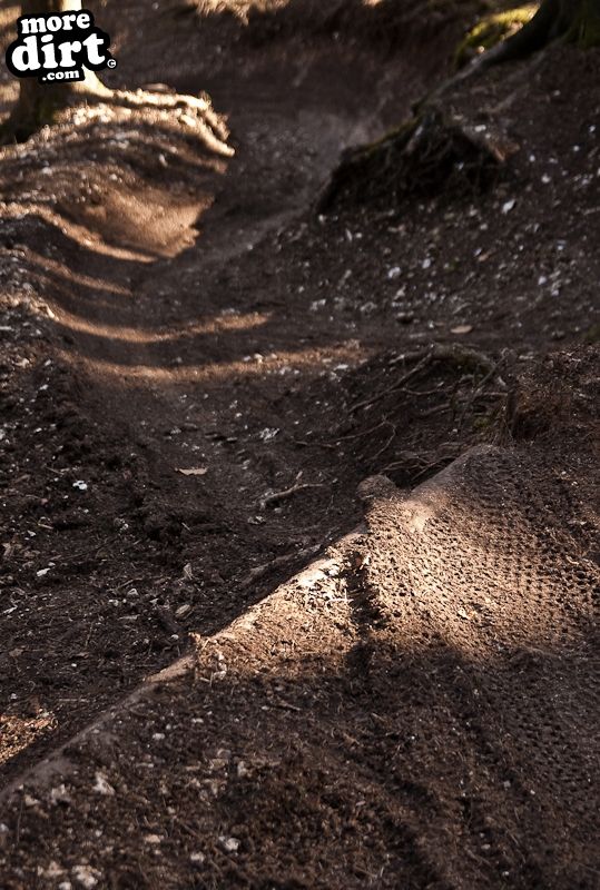 Aston Hill Mountain Bike Park