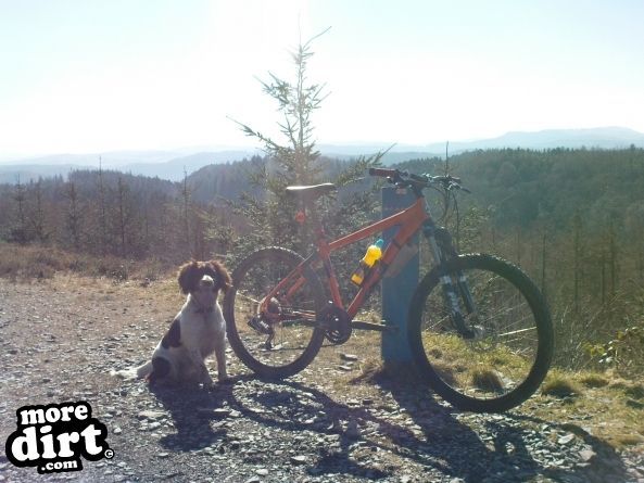 Gwydir Mawr Mountain Bike Trail