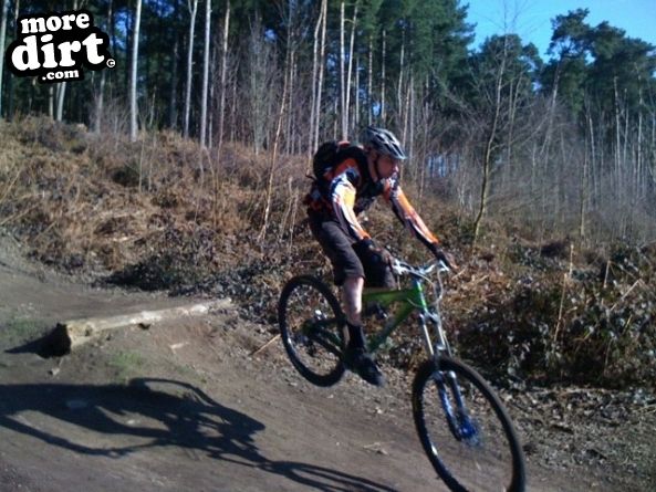 Delamere Forest Mountain Bike Trails