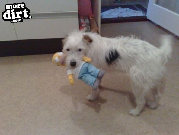 Thought ya'll like to meet paddy, my trial buildin