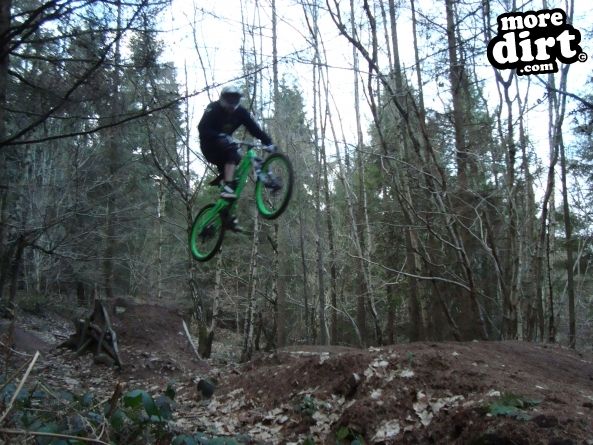 Ribbesford Bike Park