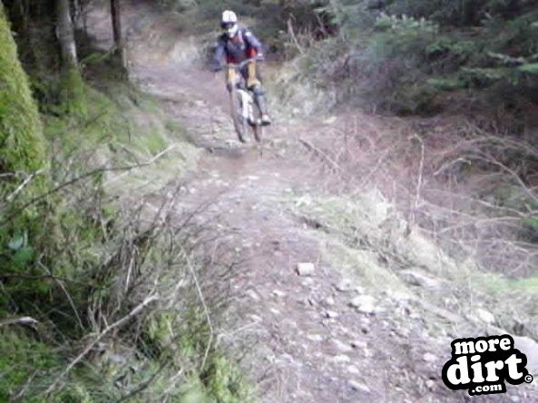 Rheola Downhill Mountain Bike Trail