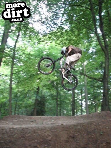 Downhill Trails - Forest of Dean