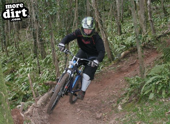 Scadson Woods Mountain Bike Park