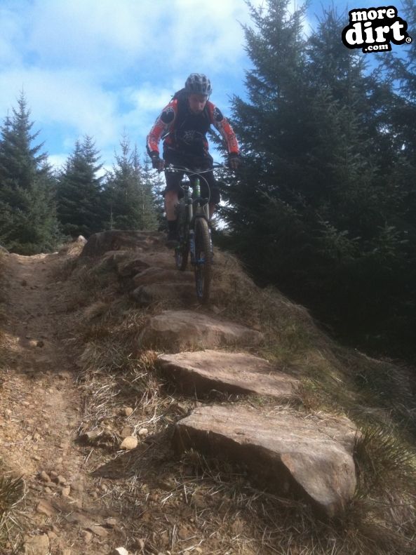 Deadwater Trail - Kielder Forest