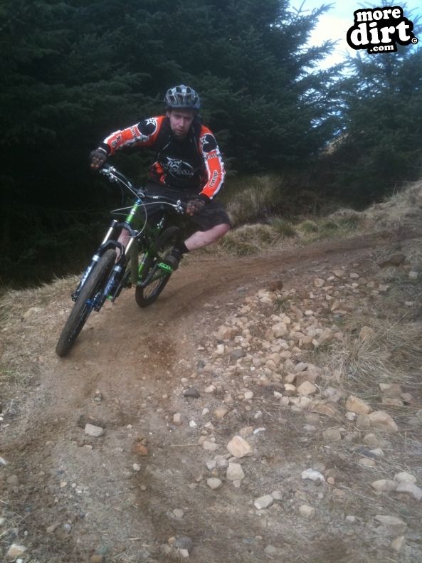 Deadwater Trail - Kielder Forest