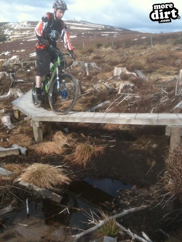 Up and Over Trail - Kielder Forest