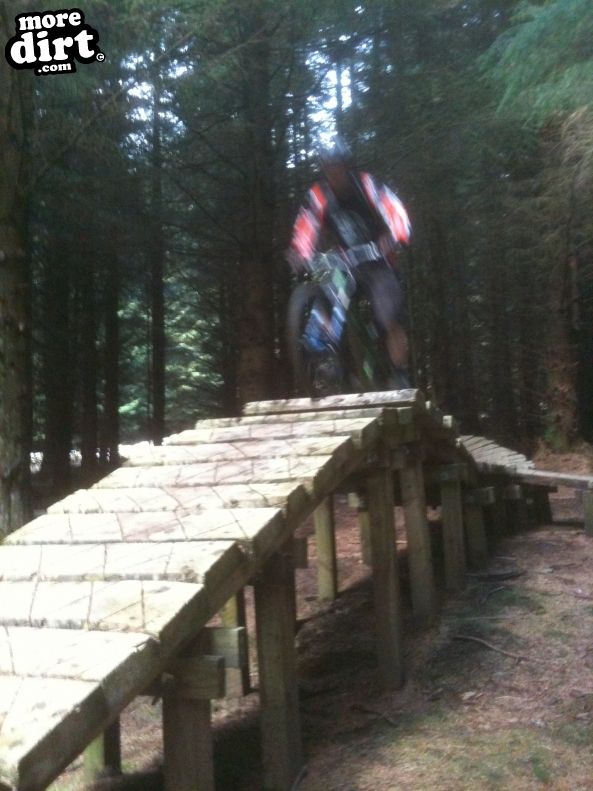 Deadwater Trail - Kielder Forest