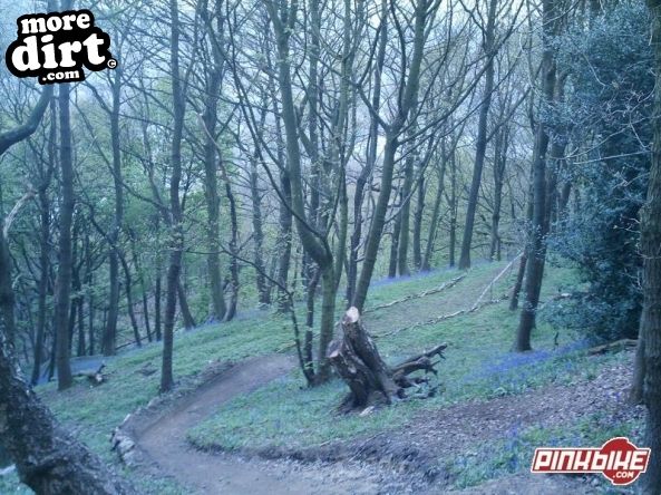 Elland Park Wood Trails