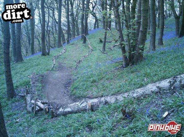 Elland Park Wood Trails