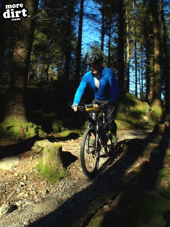 Tarw Trail - Coed-y-Brenin