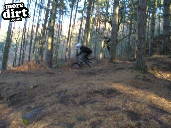 Kinver Freeride Park