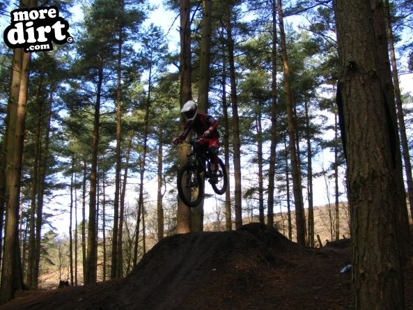 Kinver Freeride Park