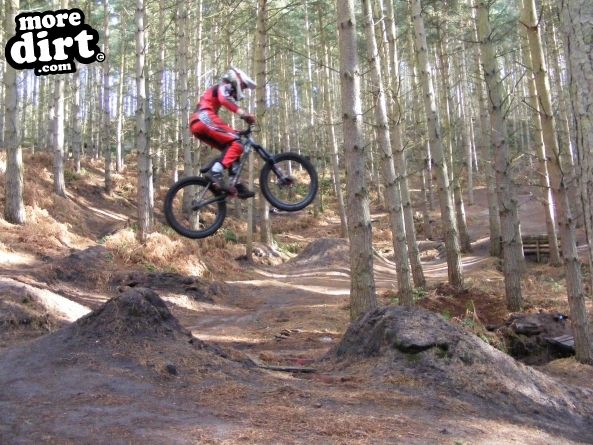 Kinver Freeride Park